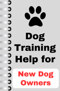 dog training for new dog owners