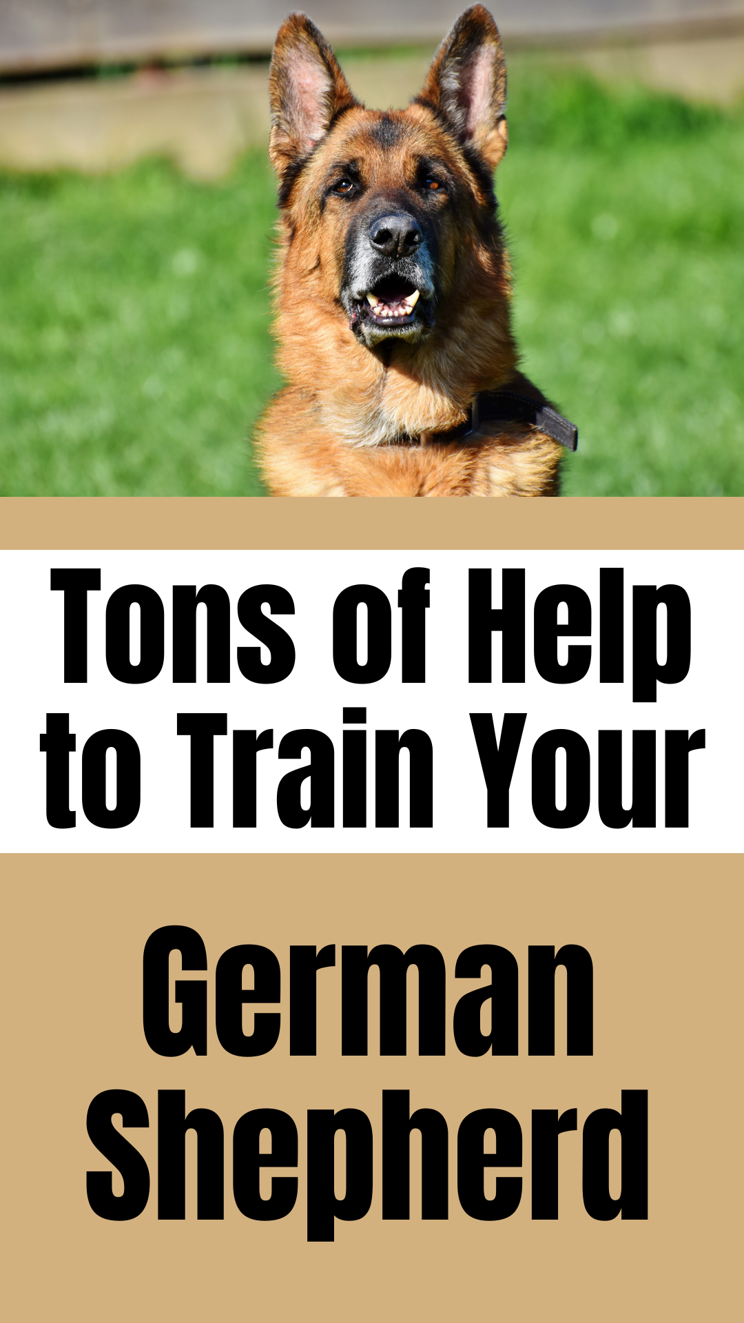 german shepherd training