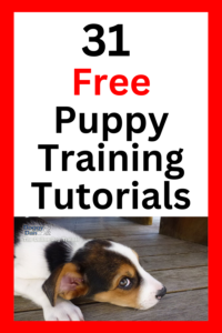 free puppy training