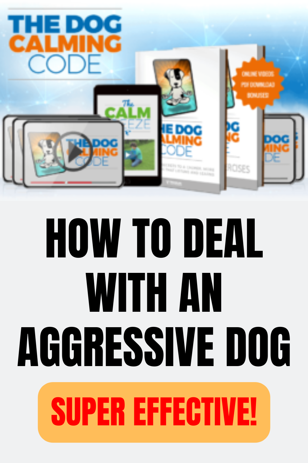 Dog Training for Aggressive Dogs