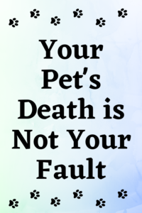 pet loss