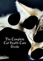 cat health care guide