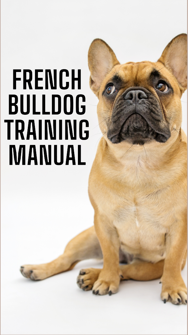 french bulldog training ebook