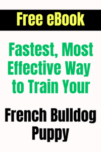 french bulldog puppy training ebook