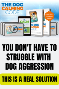 Training to Stop Dog Aggression