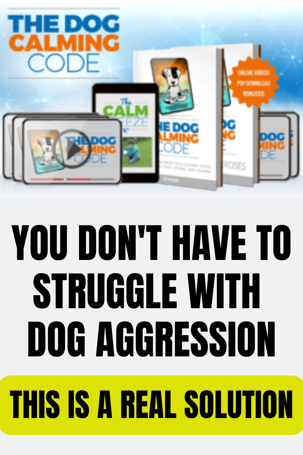 Training to Stop Dog Aggression - The Dog Calming Code