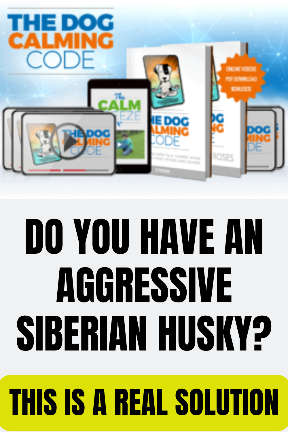 aggressive siberian husky training