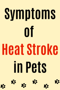 symptoms of heat stroke in pets
