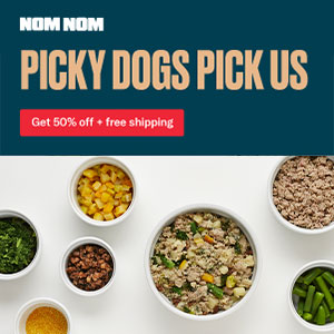 best dog food for dogs with sensitive stomachs