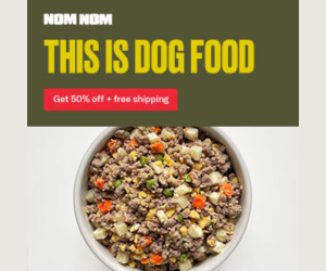 best fresh dog food