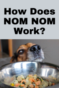 how nom nom dog food works