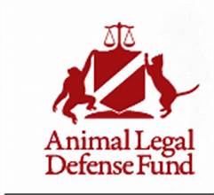 animal league defense fund aldf