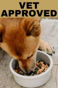 vet recommended dog food