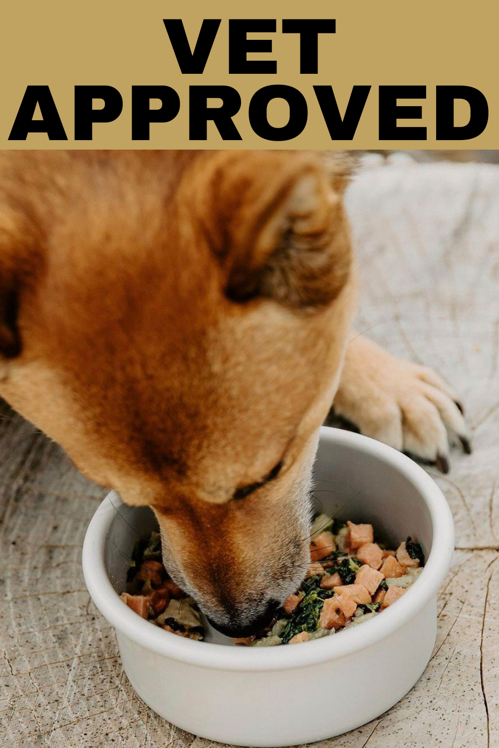 Nom Nom Dog Food Review | Ingredients, Prices, Drawbacks