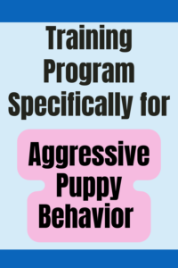 how to stop a puppy from being aggressive