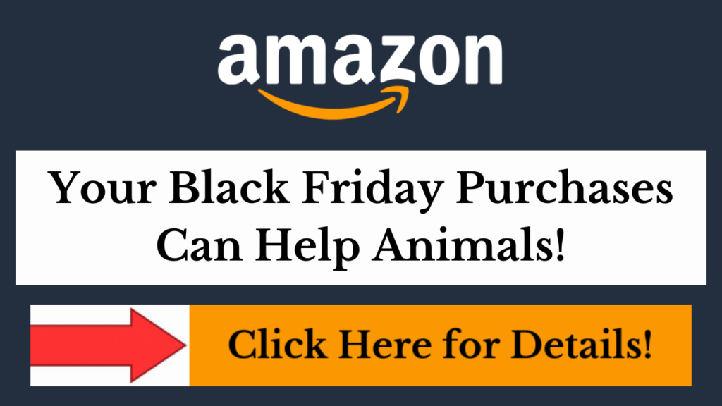 amazon black friday pets