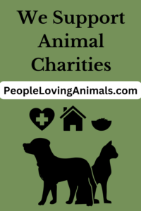 support animal charities