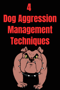 4 dog aggression management techniques