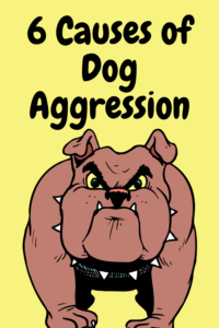 6 causes of dog aggression