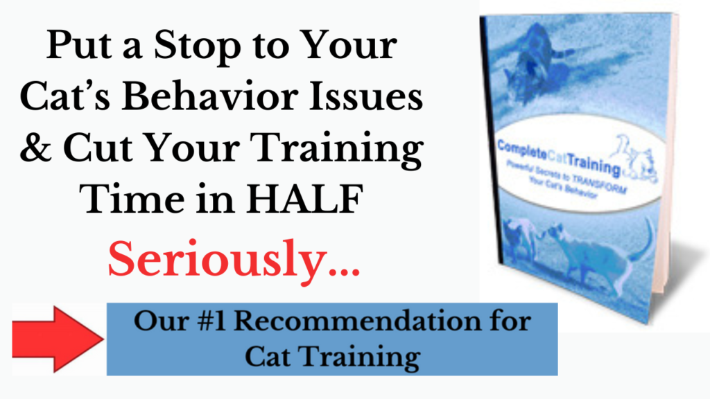 cat training guide