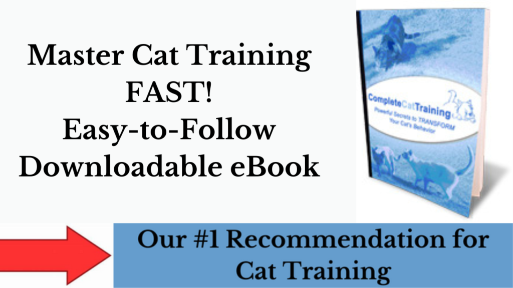 complete cat training guide