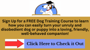 free dog training course