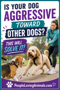 dog aggression toward other dogs