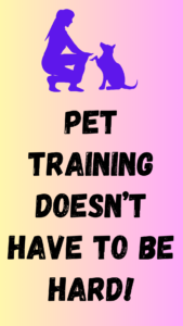 pet training