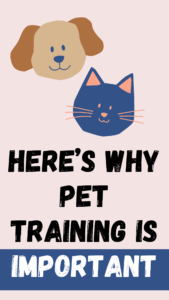 why pet training is important