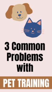 3 common pet training problems