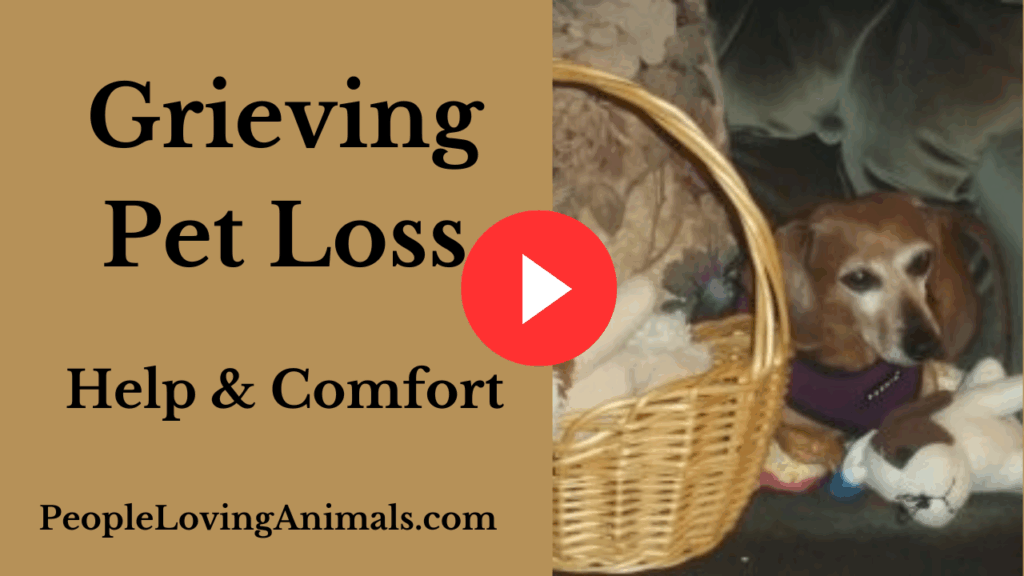 dealing with pet grief