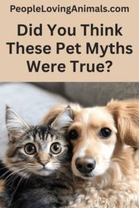 pet myths