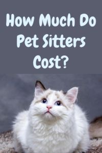 How much do pet sitters cost?