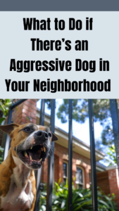 what to do if there's an aggressive dog in your neighborhood