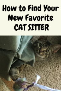 How to find a good cat sitter