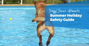 dog summer safety tips