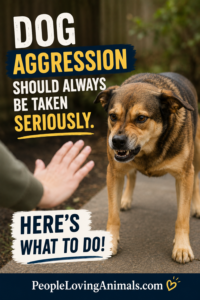 help with dog aggression