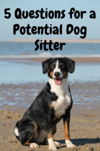 5 questions to ask a potential dog sitter