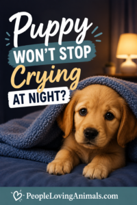 puppy won't stop crying at night