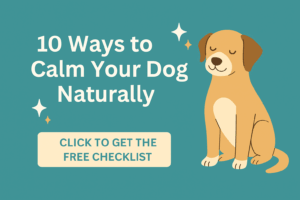 10 ways to calm your dog naturally