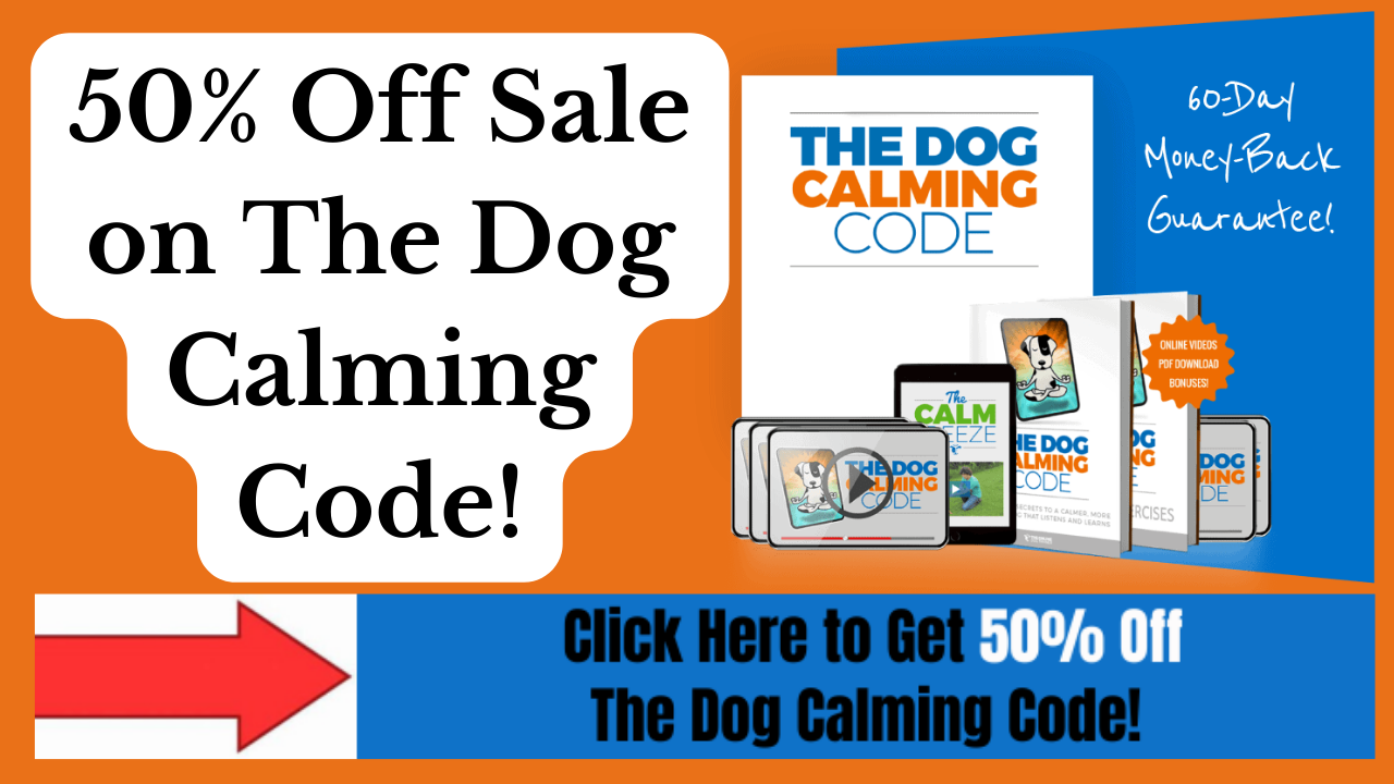 Training to Stop Dog Aggression - The Dog Calming Code