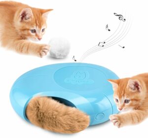 interactive kitten toys