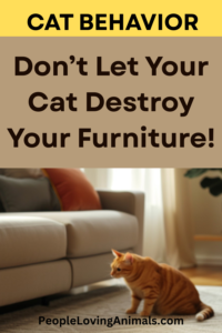 how to stop a cat from scratching furniture