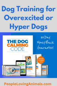 dog training for overexcited dogs