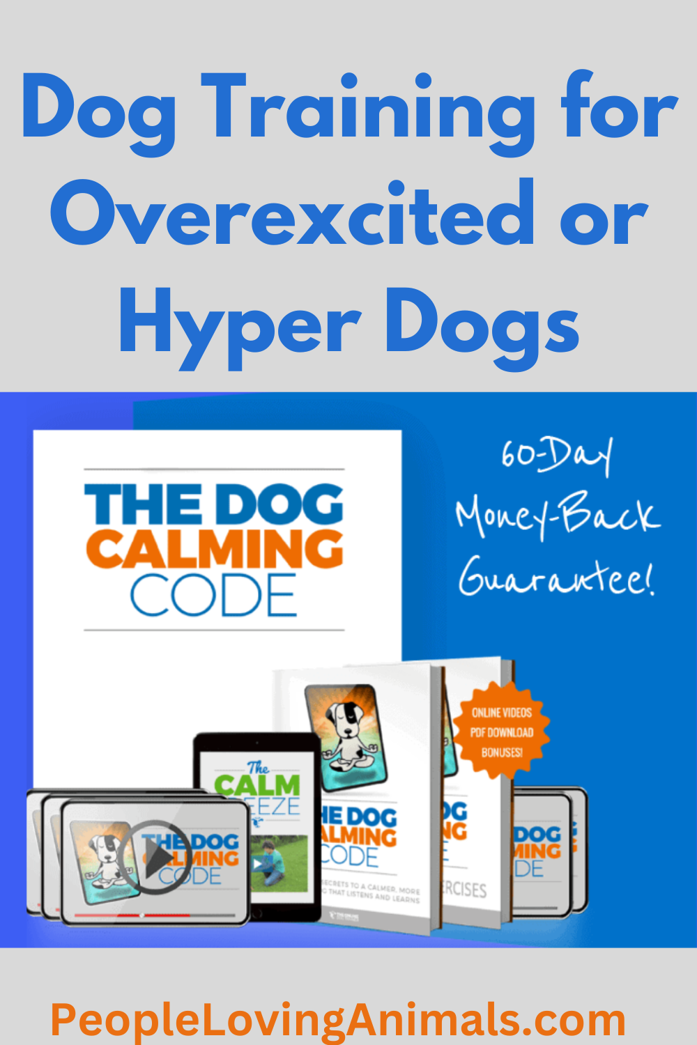 How to Calm a Hyper Dog - Free Tutorials and Training