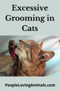 excessive grooming in cats