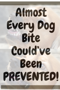 dog bite prevention