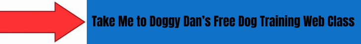 doggy dan dog reactivity web class