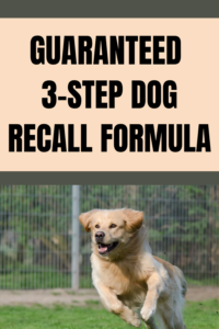 3 step dog recall formula