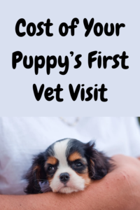 cost of puppy's first vet visit